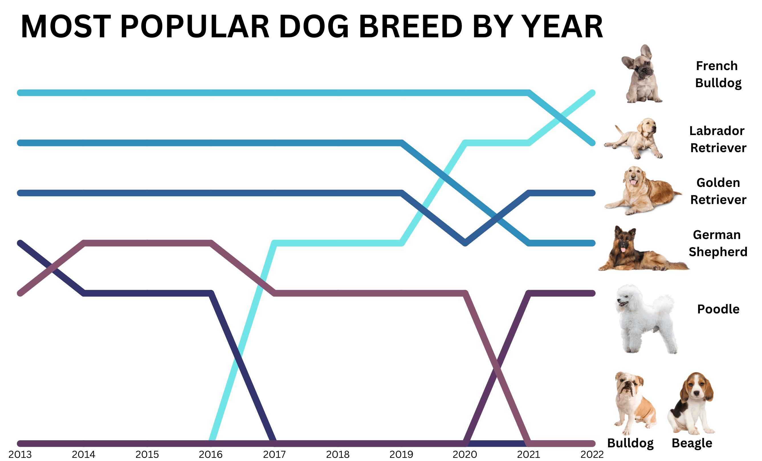 Most popular dog breed by year